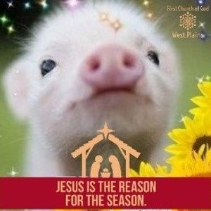 Meet your Posher, Tina marie